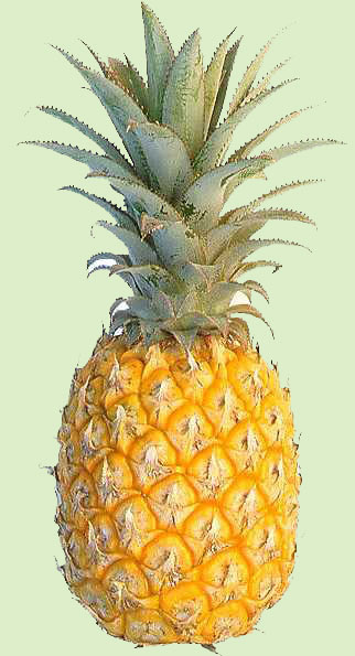 pineapple2