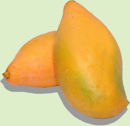 mangoslices2